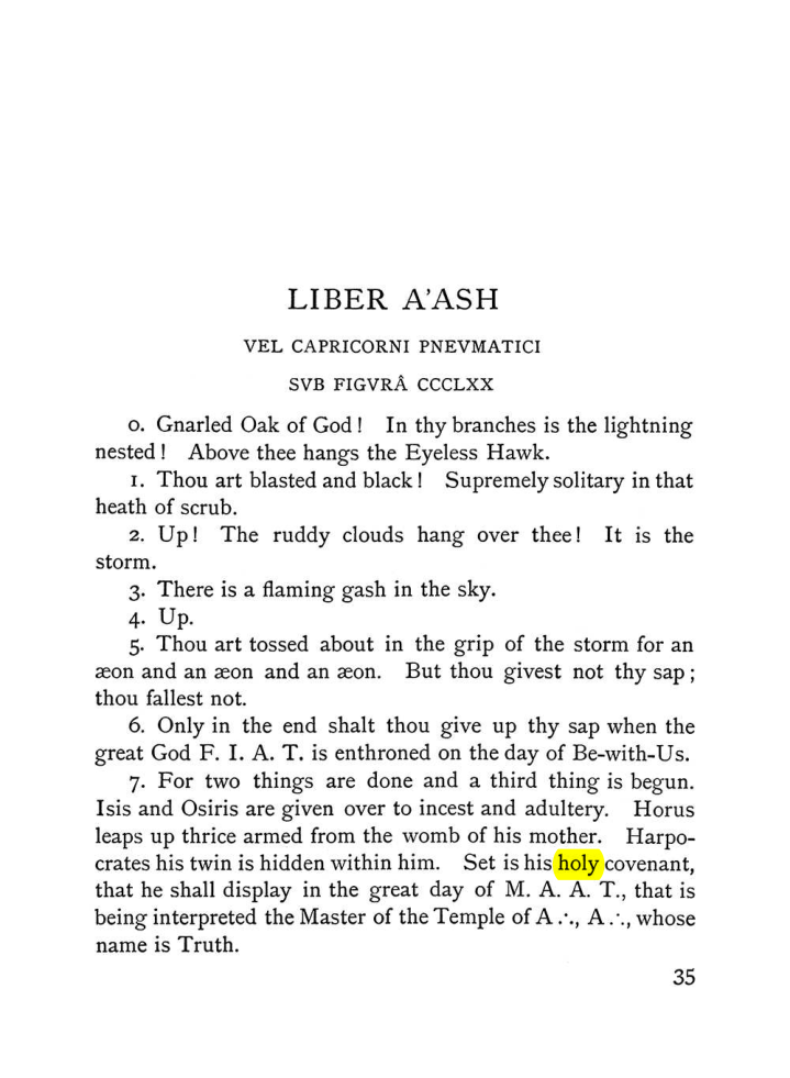 Original scan of The Equinox (Volume I, Number VI), PDF page 43