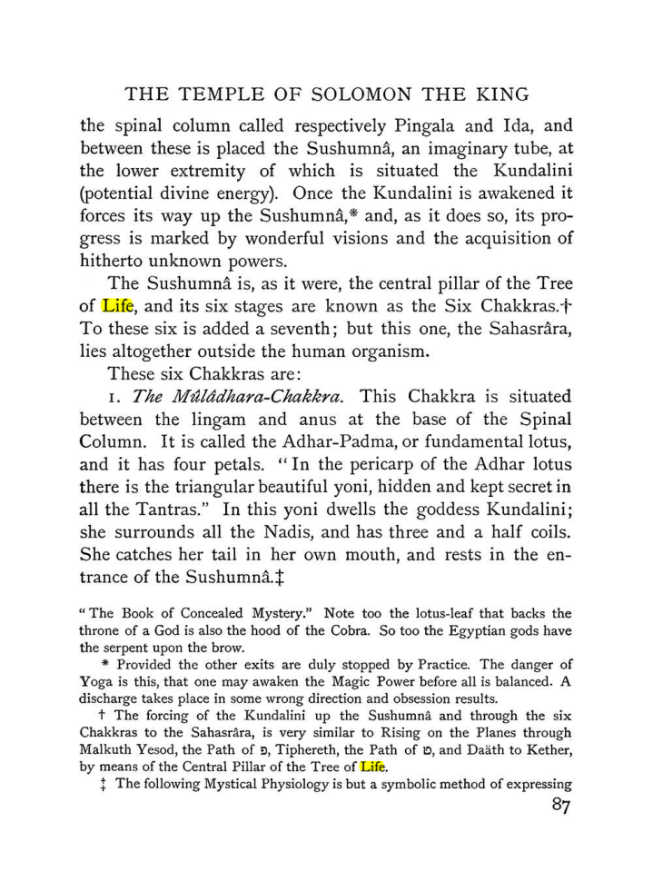 Original scan of The Equinox (Volume I, Number IV), PDF page 99