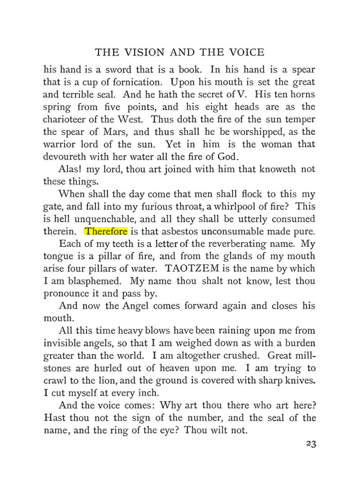 Original scan of The Vision and the Voice, PDF page 25