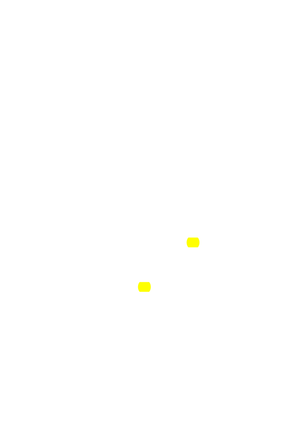 Original scan of The Star in the West, PDF page 11