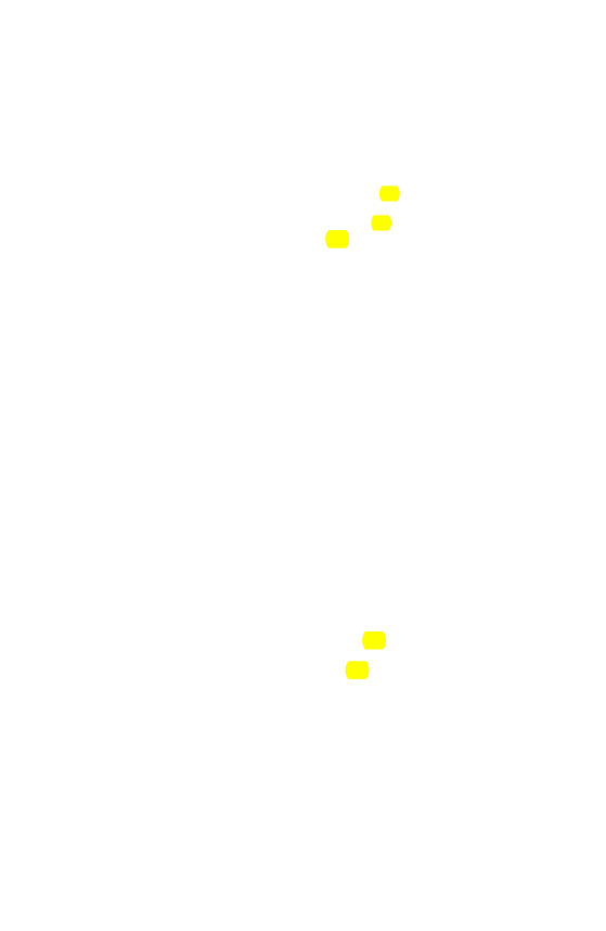 Original scan of The Star in the West, PDF page 145