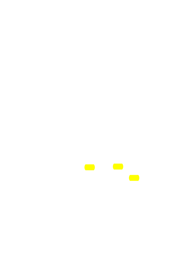 Original scan of The Star in the West, PDF page 205