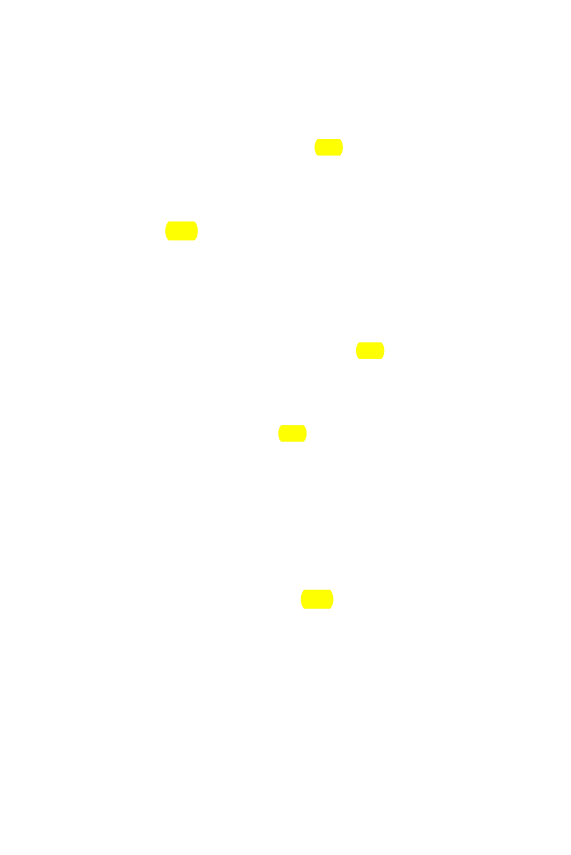 Original scan of The Star in the West, PDF page 211