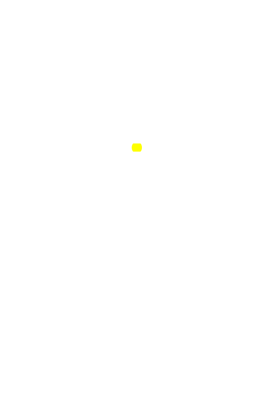 Original scan of The Star in the West, PDF page 311