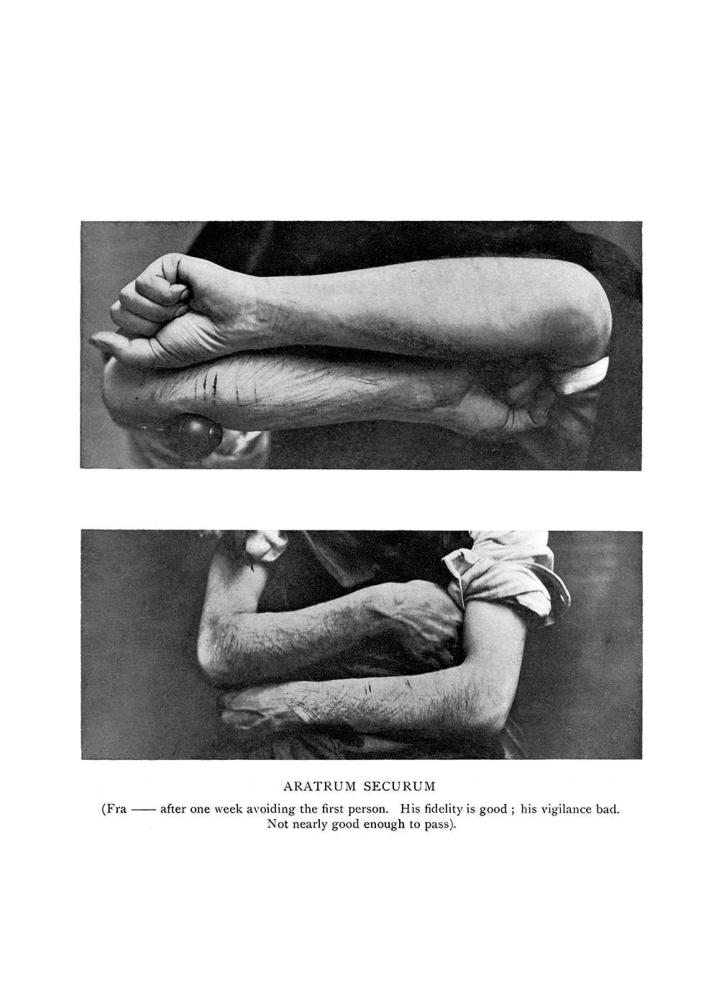 Original scan of The Equinox (Volume I, Number III), PDF page 21