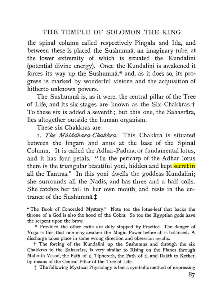 Original scan of The Equinox (Volume I, Number III), PDF page 99
