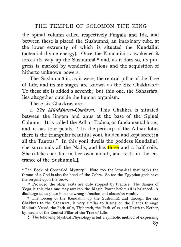 Original scan of The Equinox (Volume I, Number III), PDF page 99
