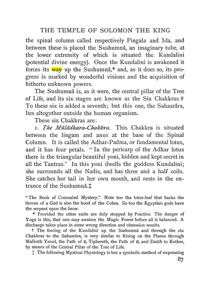 Original scan of The Equinox (Volume I, Number III), PDF page 99