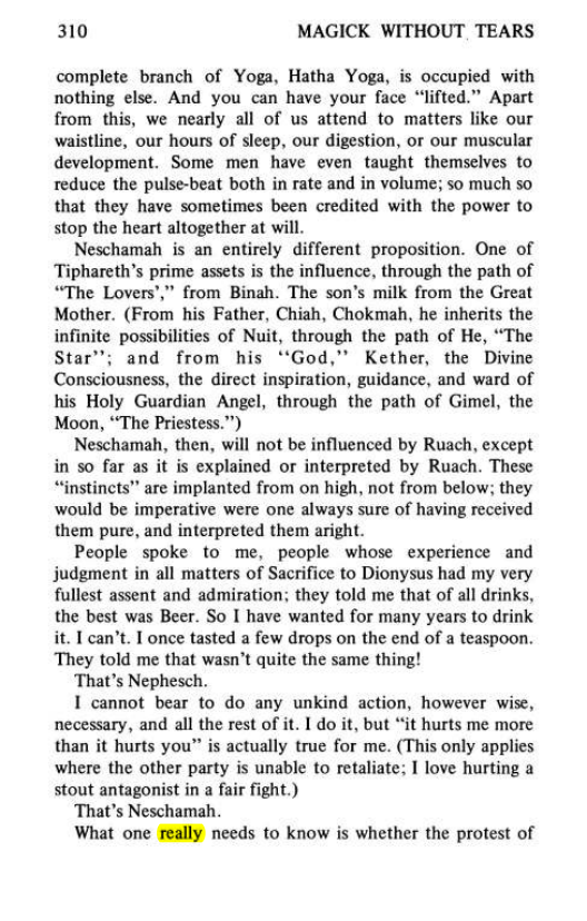 Original scan of Magick Without Tears, PDF page 343